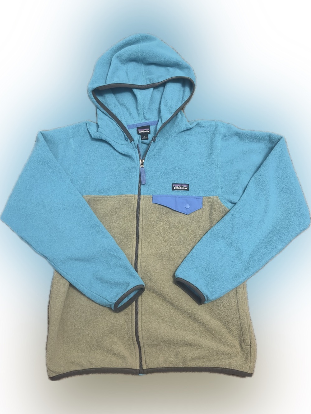Patagonia Micro-D Snap-T Fleece Hoody Kids Large